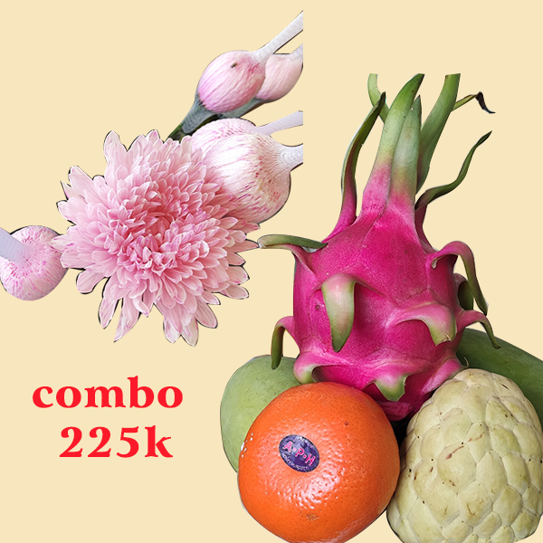 Combo trái cây và hoa cúc lưới hồng